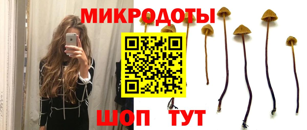 Галлюциногенные грибы Psilocybe Рассказово